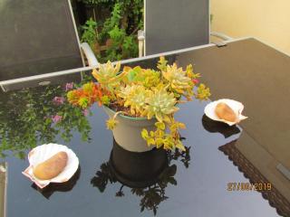 Maisonnette climatisée avec terrasse- Entre Nîmes, Montpellier et les plages - 7