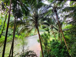 River Resort Kitulgala - 9