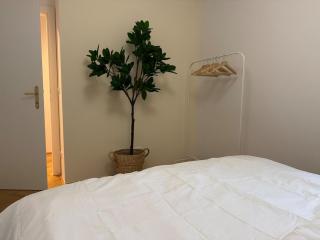 60qm, balcony, near center, Schönbrunn, attic - 7