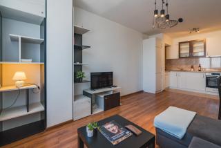 Sunny 1BDR Apartment near Center - 7