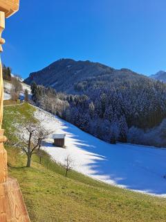 Ferienwohnung Altrach - 4