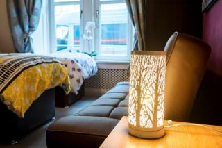 Edinburgh Central Drumdryan Ground Floor ApartHotel - 9