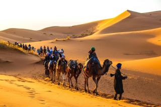 Luxury Suerte Camp - 8