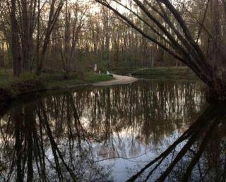 Cabin Surrounded by Sublime Nature near Lake Huron, Michigan - 2