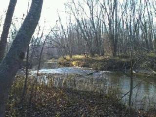 Cabin Surrounded by Sublime Nature near Lake Huron, Michigan - 1