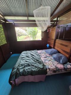 Carbet à la ferme Molokoï attitude - 9