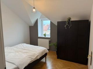50qm, balcony, near center, Schönbrunn, attic - 9