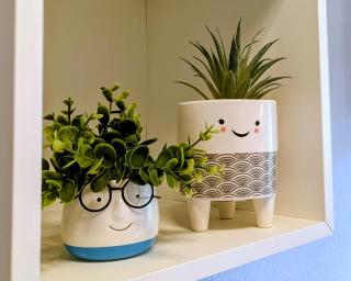 Ferienwohnung August 29 - 8