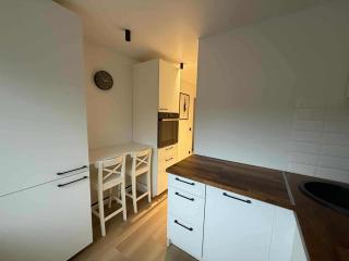 Two Bedroom Apartment LAZDYNAI - 8