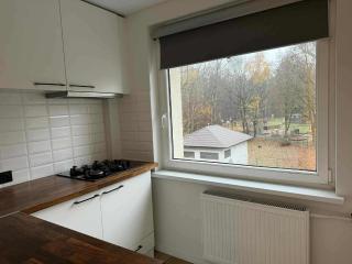 Two Bedroom Apartment LAZDYNAI - 3