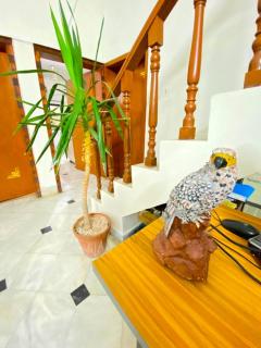 Hill Town Hotel Islamabad - 2