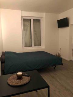 Beautiful apartment near CDG Asterix Paris Airport - 0