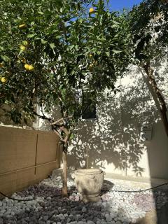 JOHNMAR apartment - 3