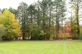 Le Paddock by Ernesst - 5