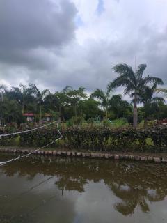 Aami Valley Resort - 2