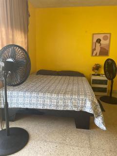 Junio y Lily House - 1