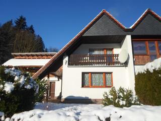 Sunny Terrace & Quiet Stay - 4