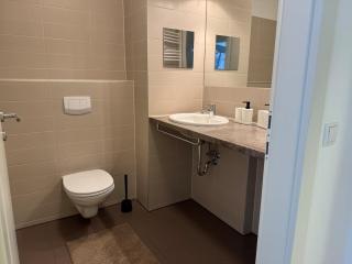 2BR, balcony, central, danube, U6 & S-Bahn - BRN 39 - 8