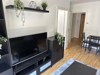 2BR, balcony, central, danube, U6 & S-Bahn - BRN 39 - 7