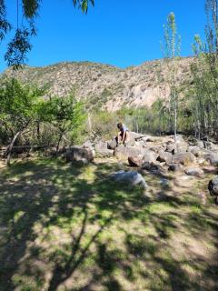 Casa Manzano, inyecciones de vida - 6