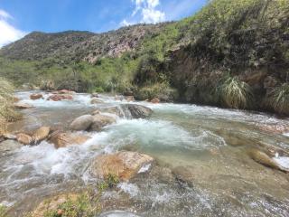 Casa Manzano, inyecciones de vida - 4