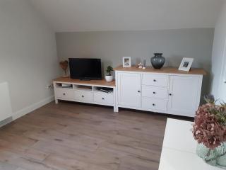 Gesamte Unterkunft Apartment in Ludwigslust - 0