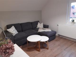 Gesamte Unterkunft Apartment in Ludwigslust - 1