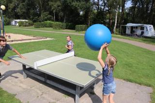 Geniet flink in de Appelvink - 6