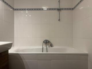 105qm, balcony, near center, Schönbrunn, attic - 9