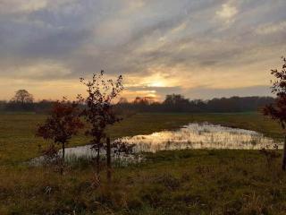 Geniet flink in de Appelvink - 2