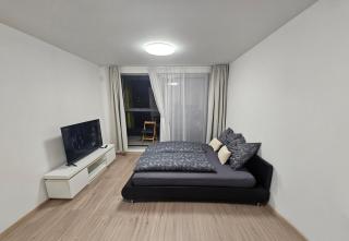 Prague Centre Luxury Apartment & Parking - 9