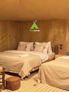 Eco Desert Camp - 7