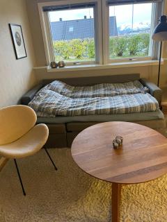 Comfy apartment in Tromsø - Tromsø - 8