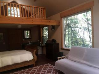 Superb Getaway Cabin Nestled in Santa Fe National Forest, New Mexico - 2