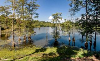 Superb Cabin Rental with Private Hot Tub on Toledo Bend Lake in Louisiana - 4