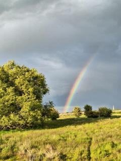 The Meadow Suite, Enholmes Hall - 2
