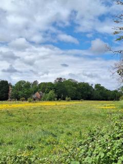 The Meadow Suite, Enholmes Hall - 4