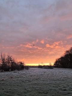 The Meadow Suite, Enholmes Hall - 6