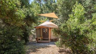 Cozy Romantic Yurt Rental in Woodlands near California Beach Town of Cayucos - 6