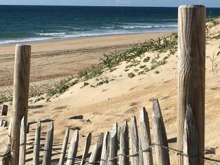 Appartement T3 à 50m de l'océan avec terrasse et parking privé - FR-1-379-148 - 3