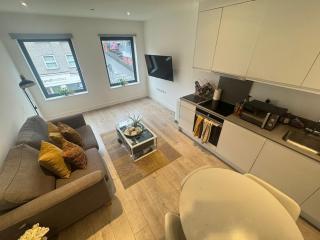 JVL Nice Cosy 1BR Flat Purley, London - 2