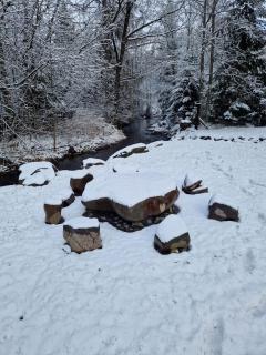 Cabana Bradul Adelinei - 8