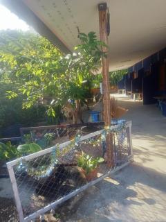 คอปเตอร์ Resort - 7