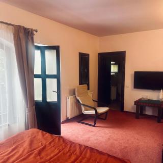 Pensiunea Casa Ancutei - 8