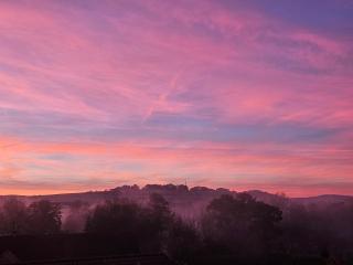 Pension Forellenhof - 6