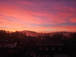 Pension Forellenhof - 7