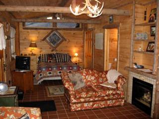 All Season Romantic One-Room Cabin on Moody Pond, in Upstate New York - 7