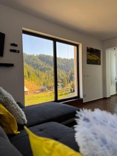 Cabana Stânceni - 8