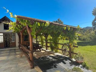 Ant Ra Prina Verde - 7