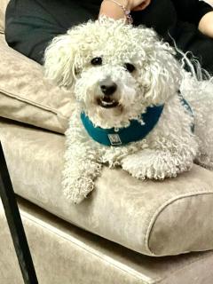 Artists Guest House - 1